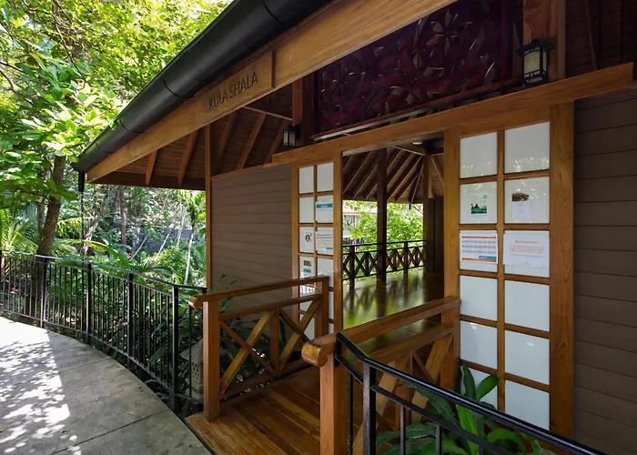 Bodhi Tree Yoga 5*