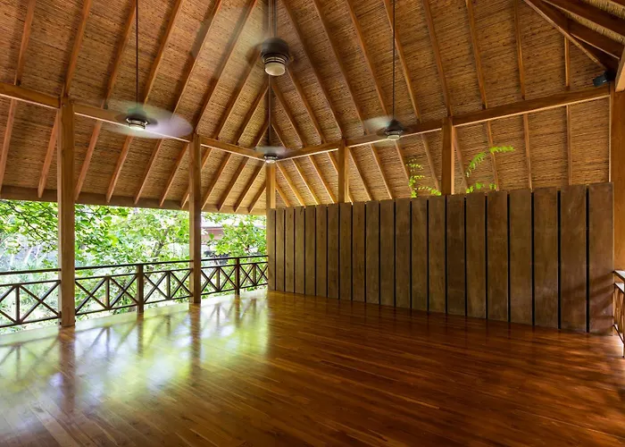 Bodhi Tree Yoga Resort