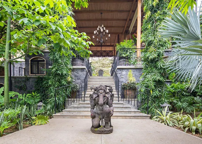 Bodhi Tree Yoga 5*