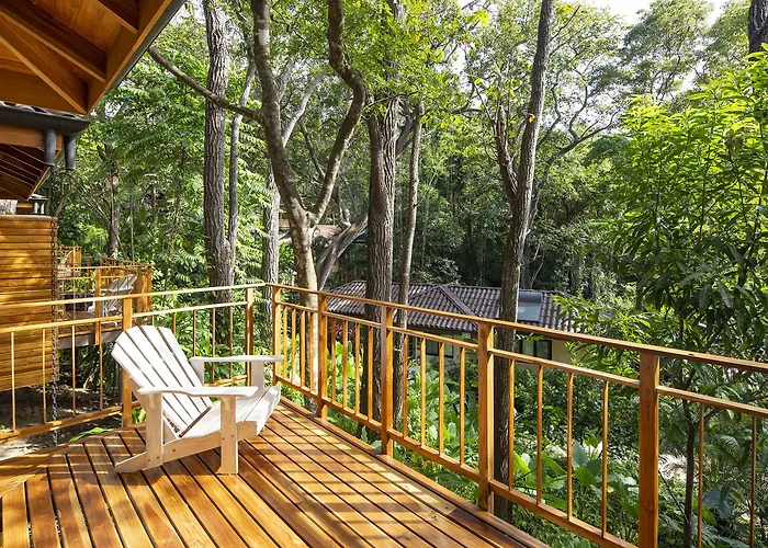 Bodhi Tree Yoga 5*