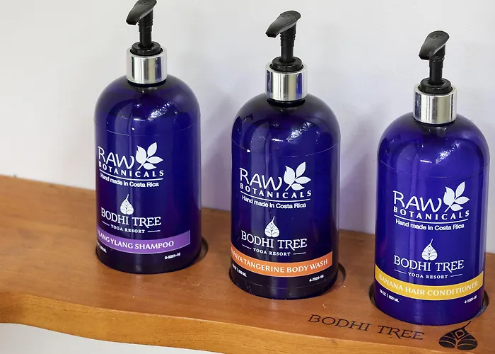 Bodhi Tree Yoga Resort