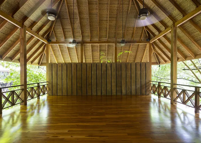 Bodhi Tree Yoga Resort