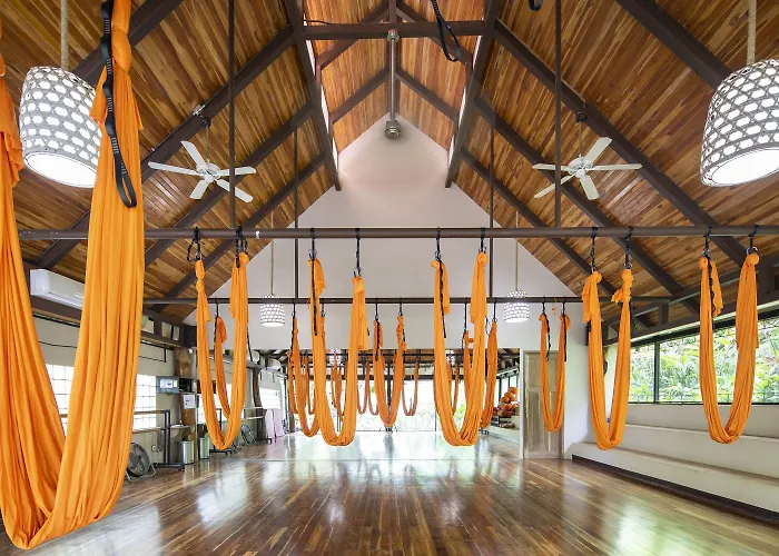 Bodhi Tree Yoga 5*