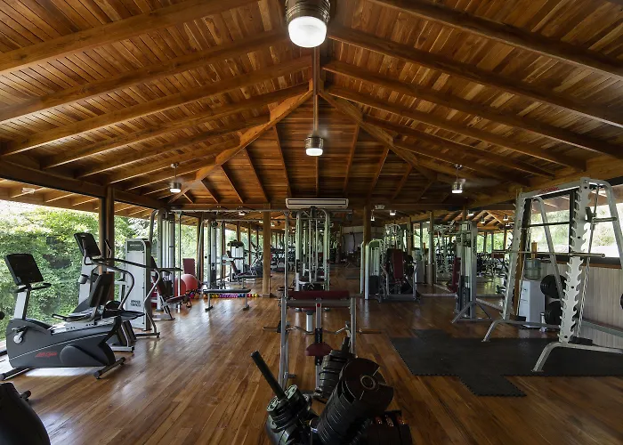 Bodhi Tree Yoga