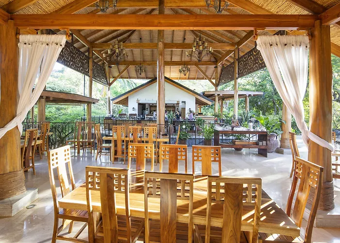 Bodhi Tree Yoga
