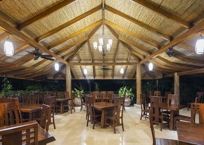 Resort Bodhi Tree Yoga