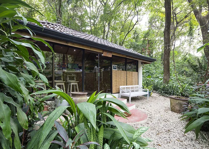 Bodhi Tree Yoga Resort