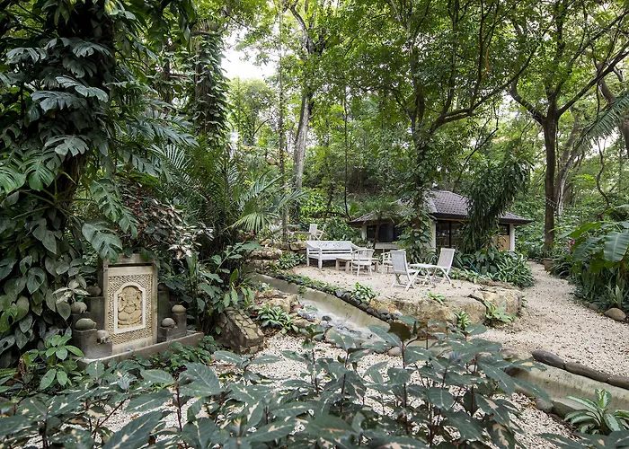 Bodhi Tree Yoga 5*