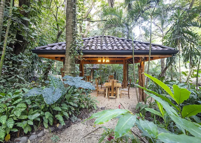 Bodhi Tree Yoga