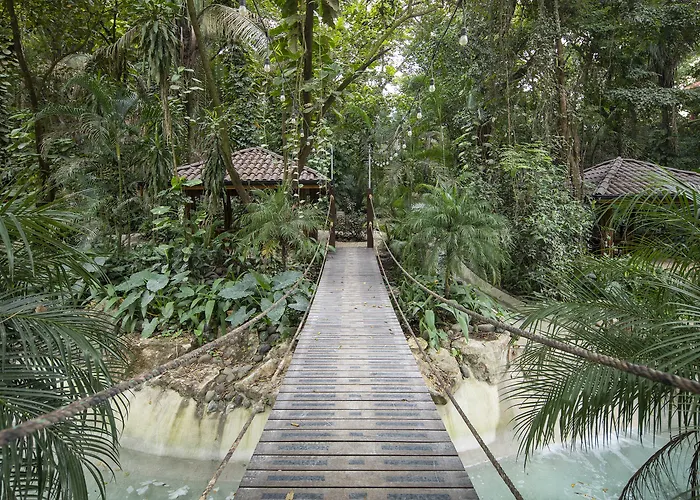 Resort Bodhi Tree Yoga