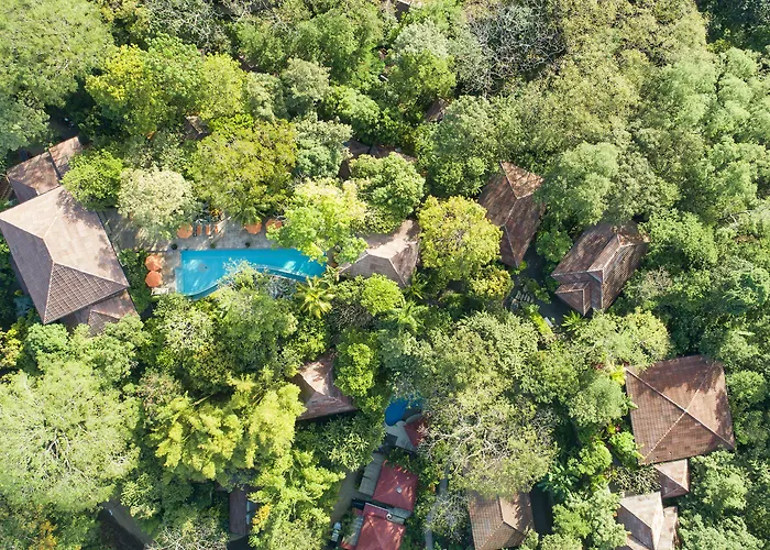 Bodhi Tree Yoga